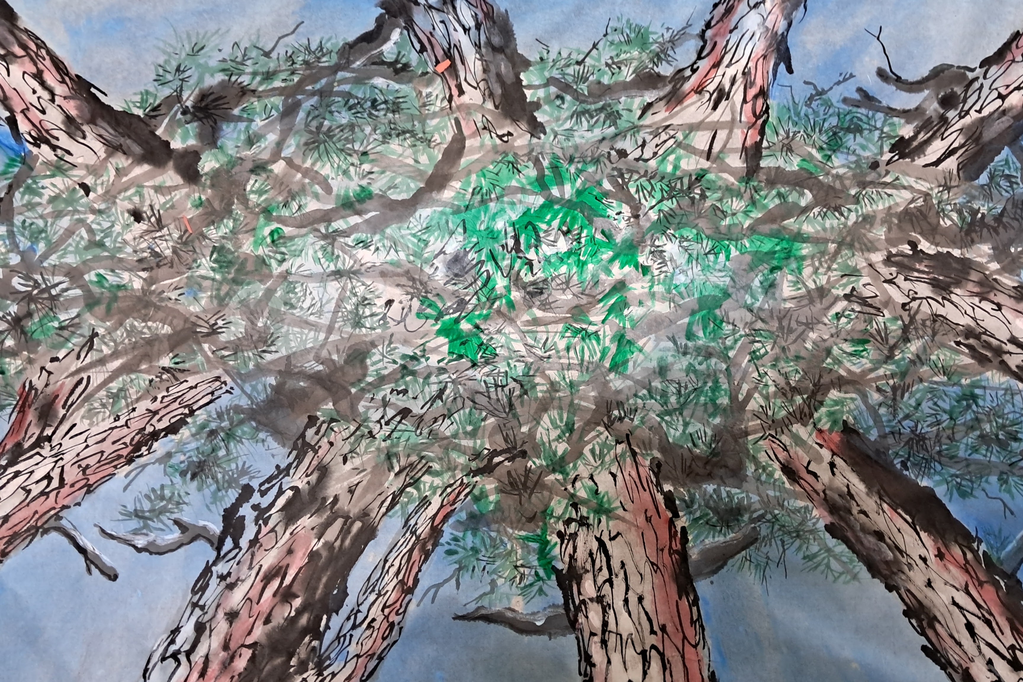  ̹